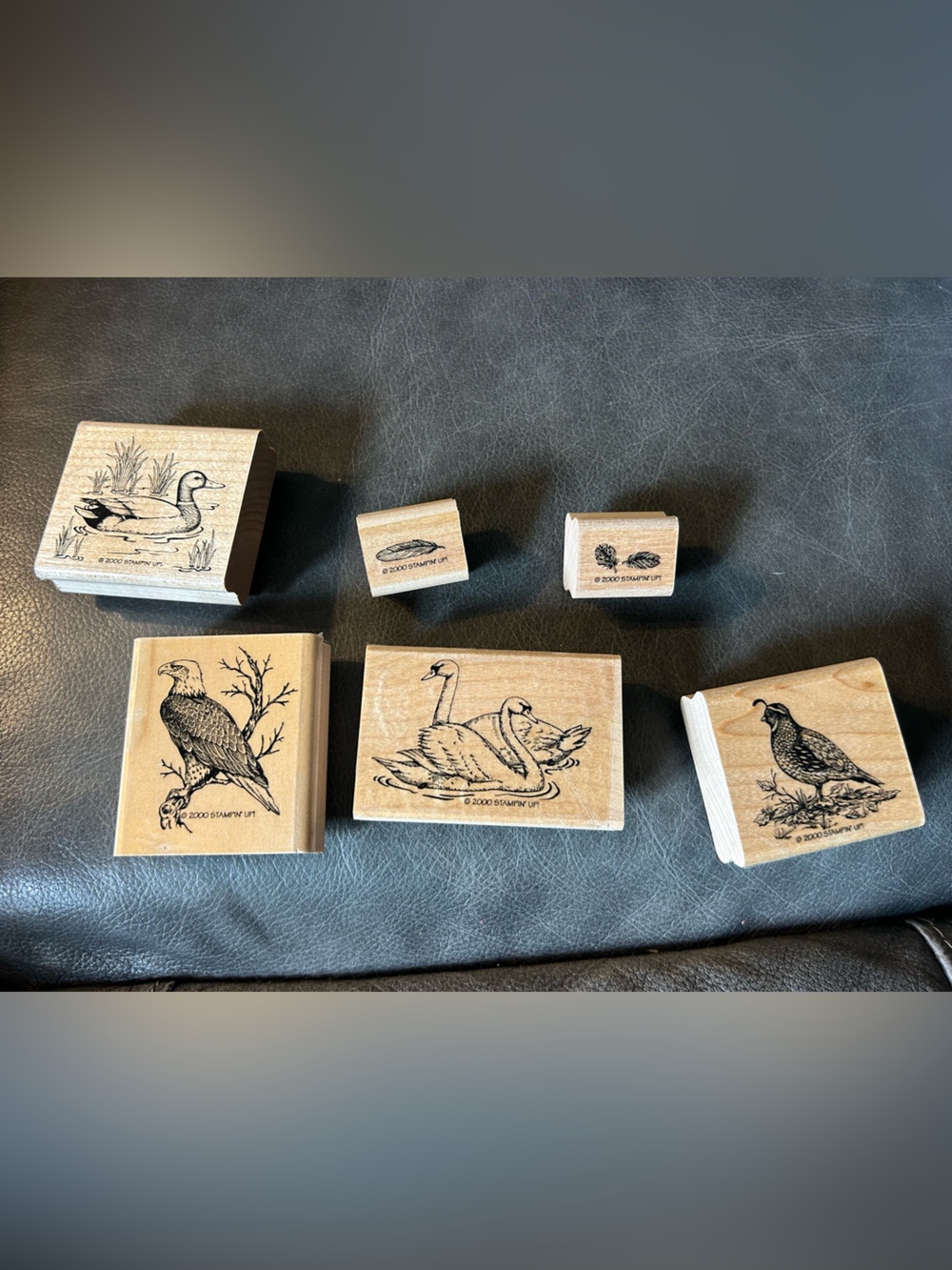 6 STAMPIN UP! 2000 BIRDS STAMPS duck eagle feather swan‎ quail vintage